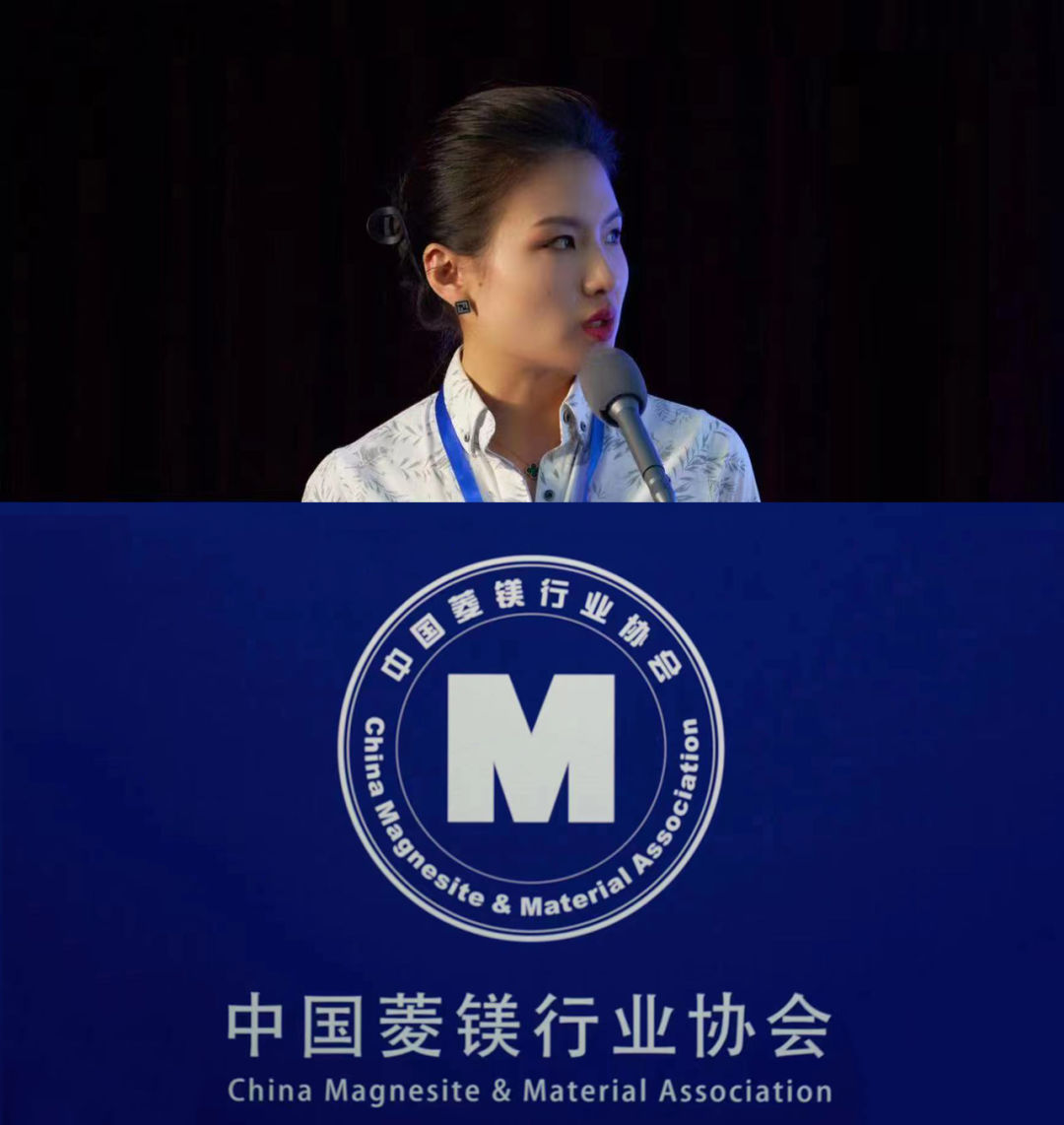 攜手并進 共謀發展｜我司受邀參加第一屆全國鎂資源利用學術會議并作成果匯報